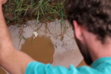 joven se observa en el río - introyectar proyección e integrar polaridad