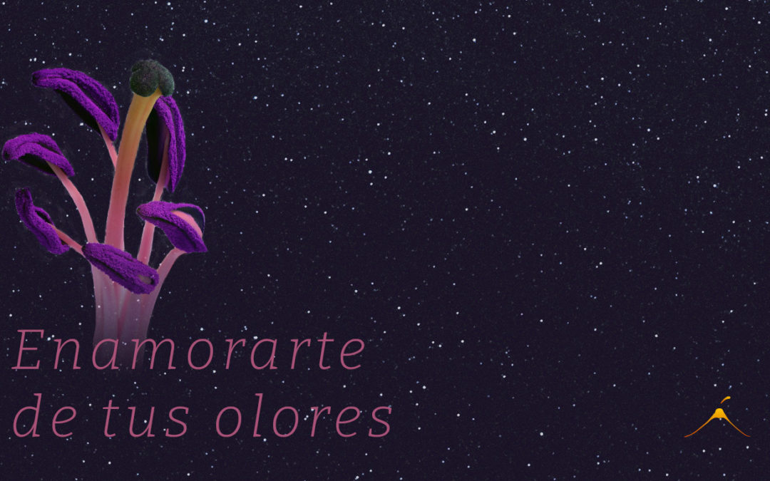 se ve una flor violeta y el texto enamorate de tus olores