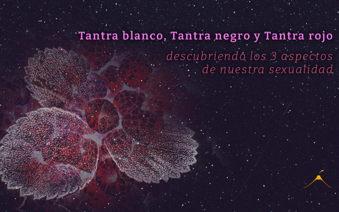 Tantra blanco, Tantra negro y Tantra rojo