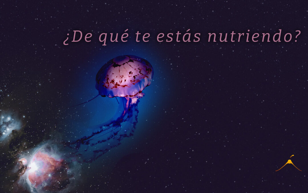 ¿De qué te estás nutriendo?